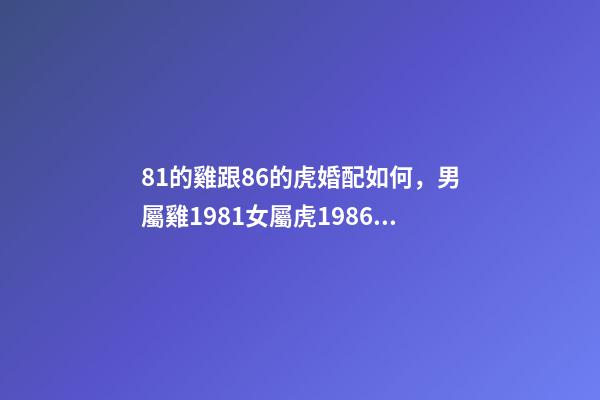 81的雞跟86的虎婚配如何，男屬雞1981女屬虎1986的婚姻如何 1981男雞1986女虎婚配，1981男雞1986女虎婚配好不好-第1張-觀點-玄機派